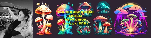 дживик Беломорск