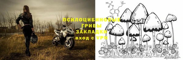 ECSTASY Белоозёрский
