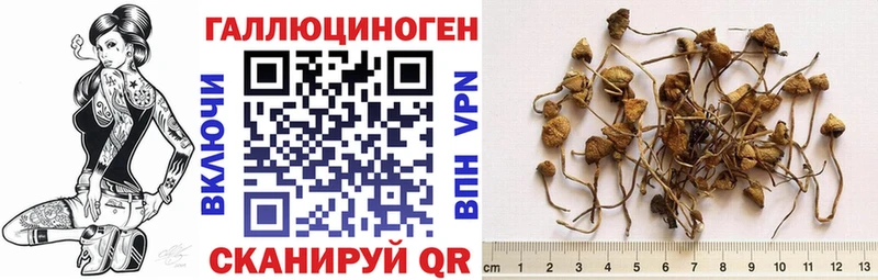наркотики  сайты даркнета какой сайт  Псилоцибиновые грибы Magic Shrooms  Волгореченск 